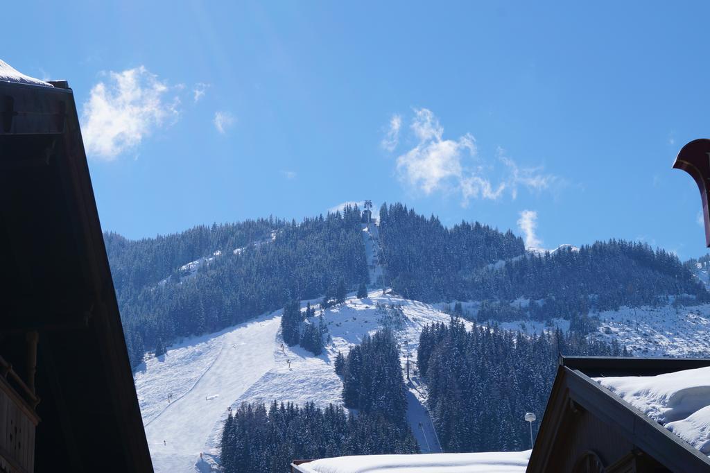 Wechselberger Saalbach